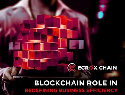 Ecroxscan.com